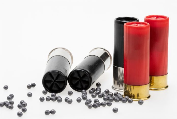 Shotgun,Shell,Ammunition,And,Lead,Pellets,On,White,Background,,