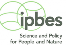 Rapporto Ipbes: la caccia responsabile è utile alla biodiversità