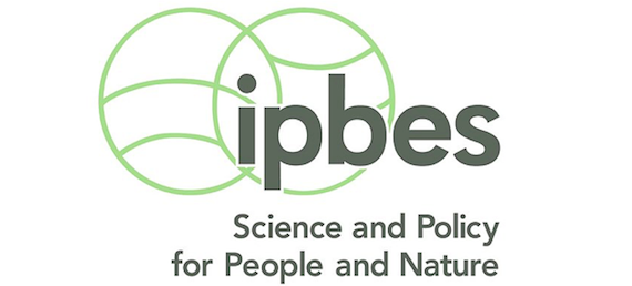 IPBES