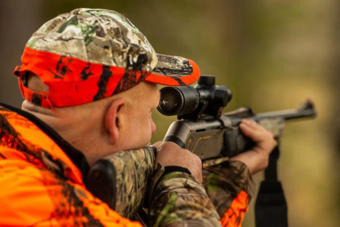 Hunter,In,The,Wilderness,Seeking,Prey