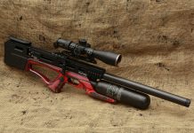 Daystate Alpha wolf calibro 5,5 mm
