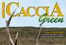 Lo speciale di Armi e Tiro sull’apertura della caccia