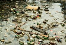 L’Ue introduce il reato di ecocidio