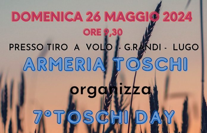 Toschidayweb