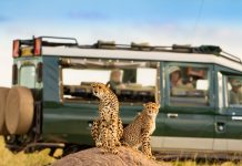 L’Africa muore… di turismo