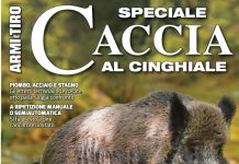 Lo speciale dedicato al cinghiale di Armi e Tiro
