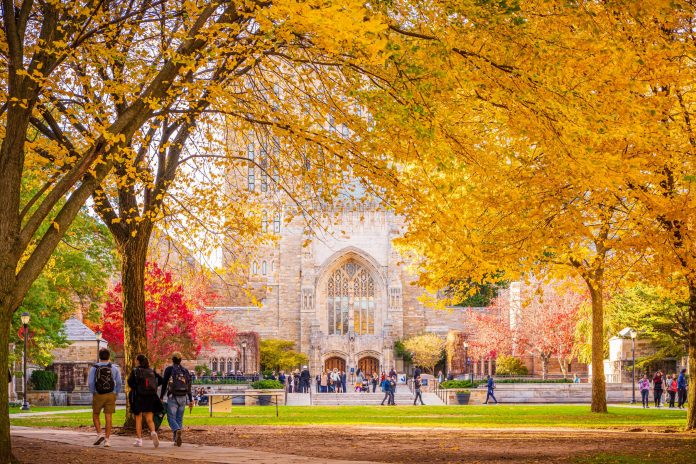 New Haven CT