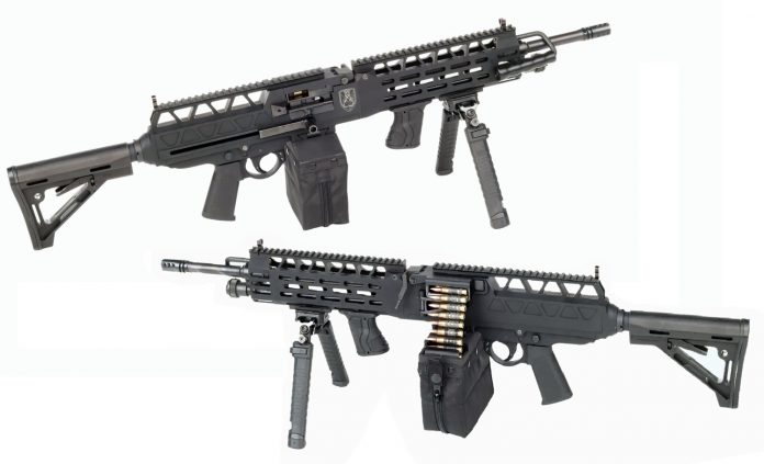 DSS_ULMG PZD Mk.24_5,56 NATO