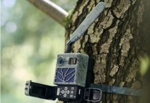 Zeiss Secacam 3: fototrappola ad alte prestazioni con un piccolo prezzo