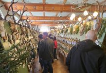 Le mostre trofei insegnano