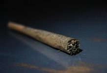 Stupefacenti e porto d’armi: la sentenza del Tar