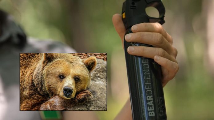 Spray anti orso