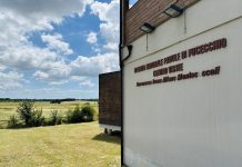 Il primo Workshop selvatico di Fondazione Una al padule di Fucecchio