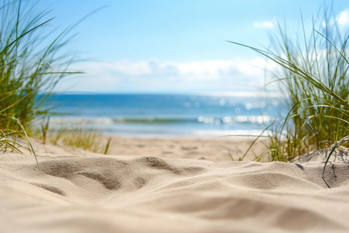 beautiful-sand-summer-beach-2-picjumbo-com